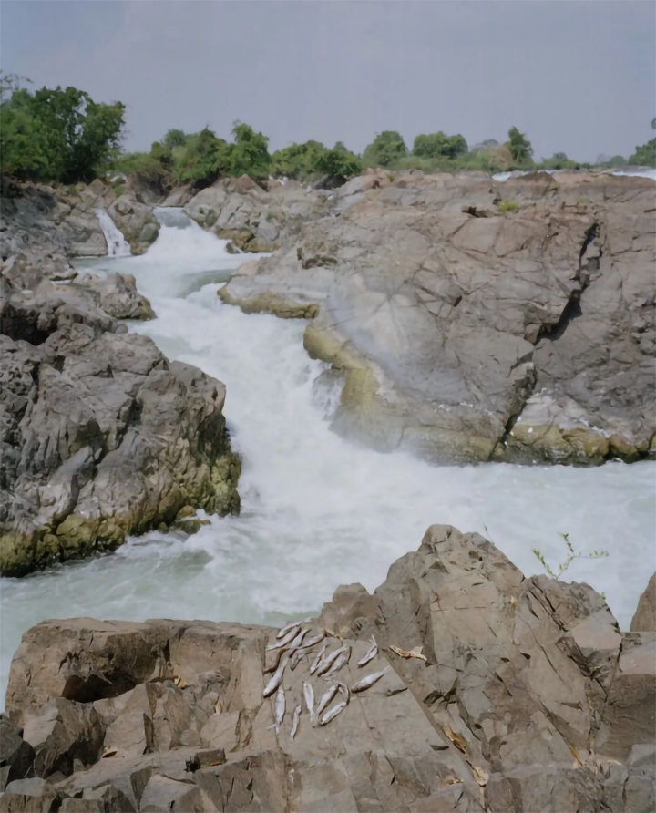 /uploads/image/2023/04/26/02.png /uploads/image/2023/04/26/02.png